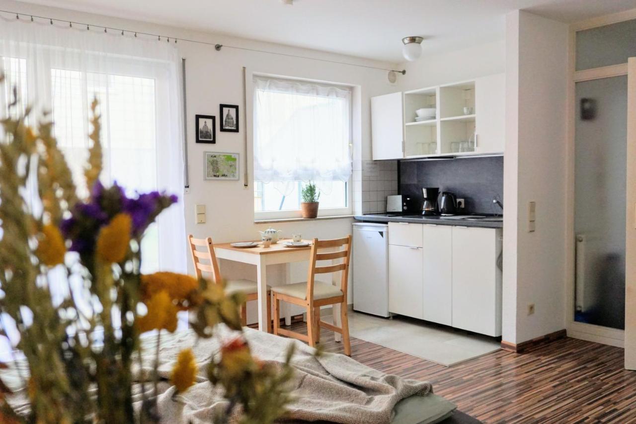 Gemütliche Ferienwohnung in ruhiger Lage Dresde Exterior foto