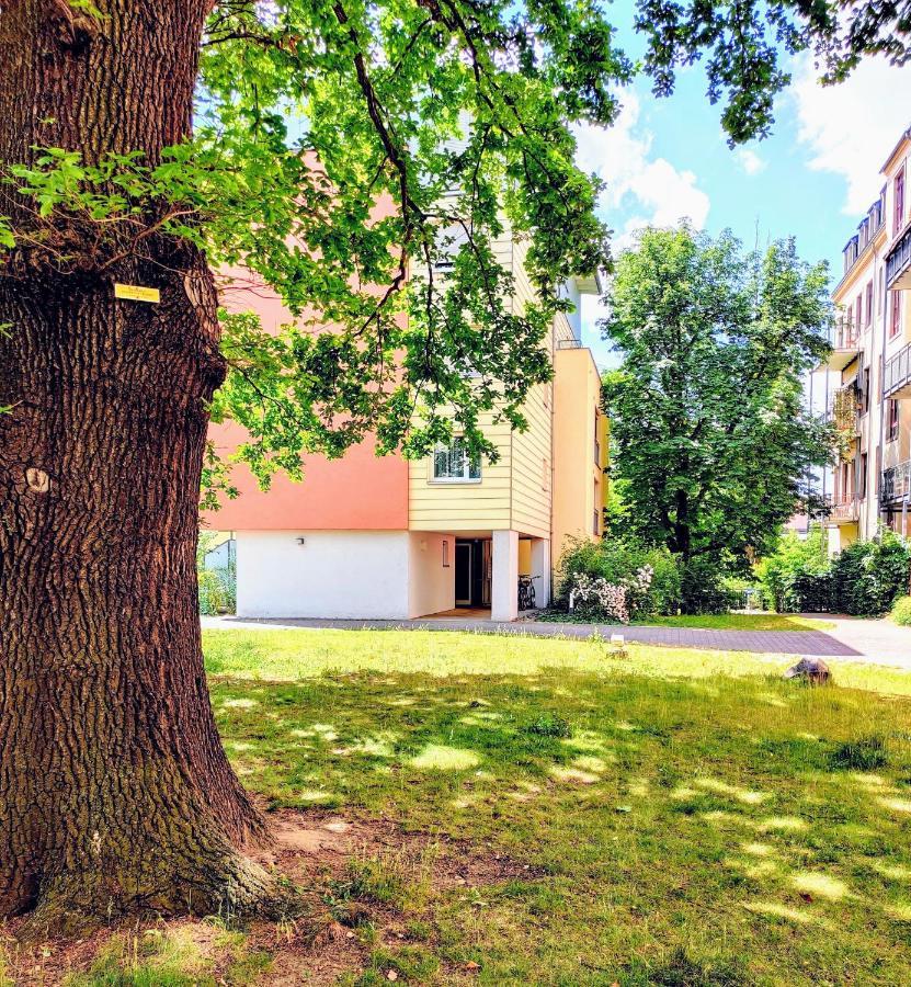 Gemütliche Ferienwohnung in ruhiger Lage Dresde Exterior foto