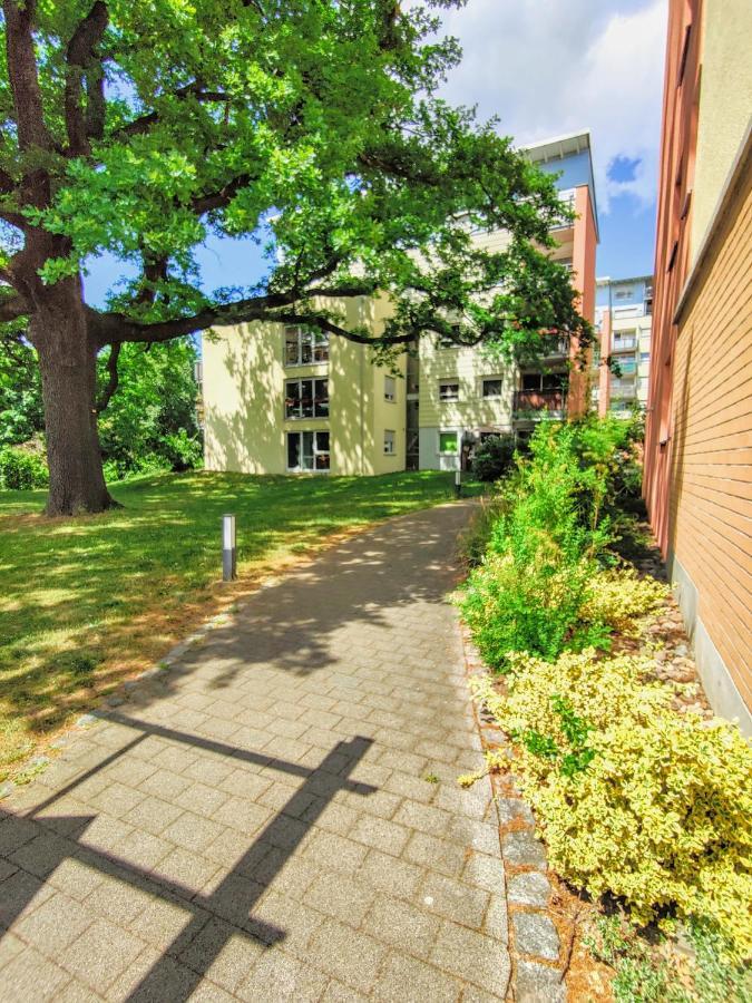 Gemütliche Ferienwohnung in ruhiger Lage Dresde Exterior foto